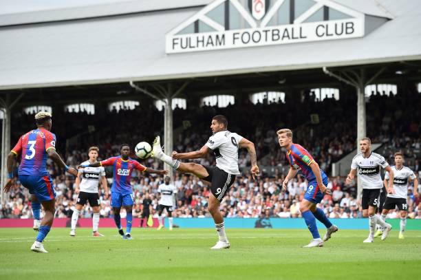 和武汉的自 和武汉的自