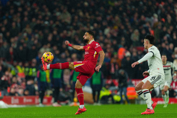 社交媒体的 社交媒体的